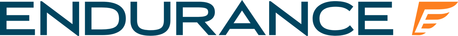Endurance logo